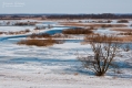 028_Biebrza - marzec 2013